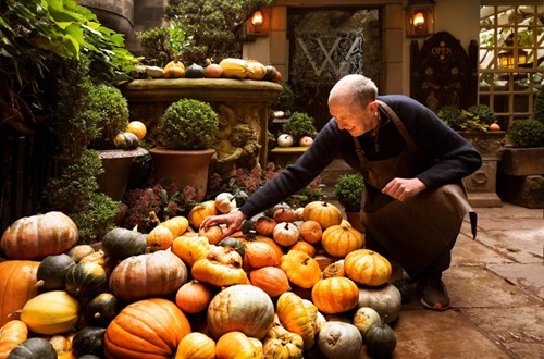 The Witchery Pumpkin Displays